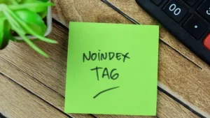 SEOに影響するnoindexタグの書き方や必要なケースを徹底解説
