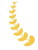 unnamed file 1